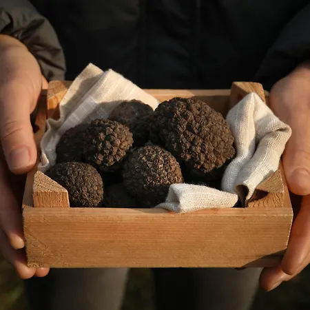 בית נופש Montebello By Interhome מוטובון